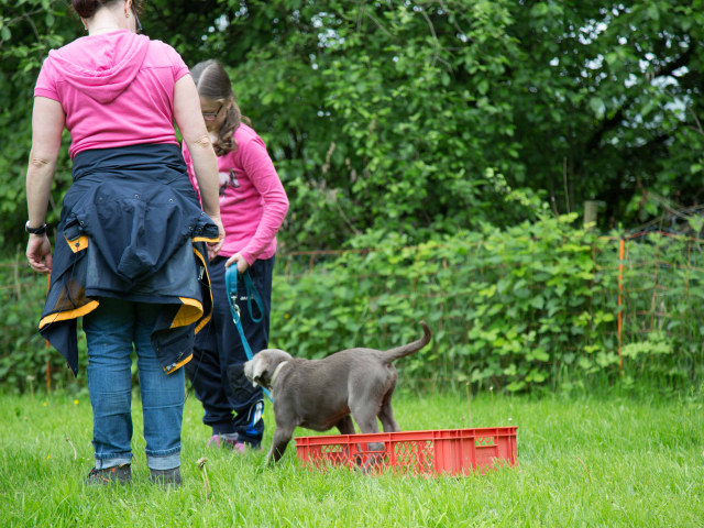 Welpenstunde 04.06.2016
