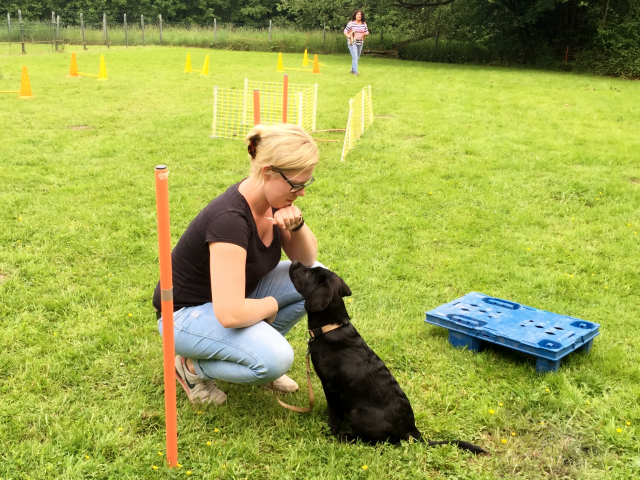 Welpenstunde 11.06.2019
