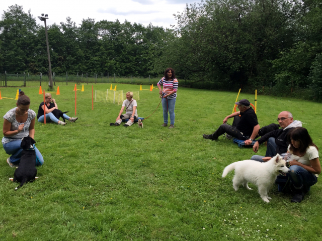 Welpenstunde 11.06.2019
