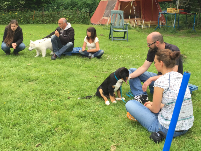 Welpenstunde 11.06.2019